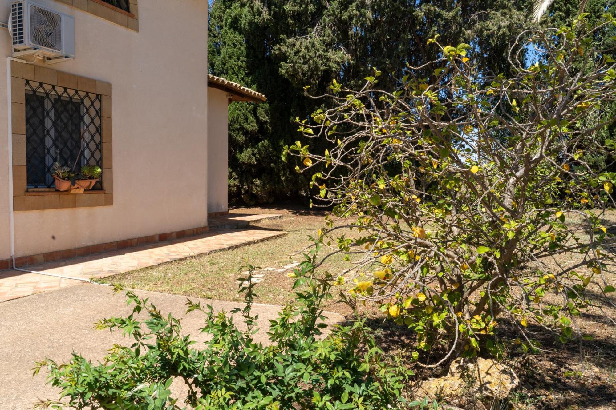 Casa Vacanze Verdemare Con Piscina 리베라 외부 사진